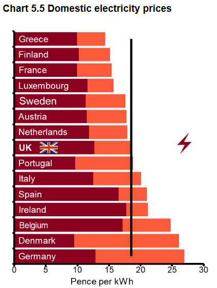 Domestic Electricity Prices 2019